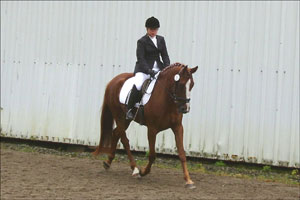Lilly at her first schooling show