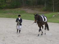 lunging