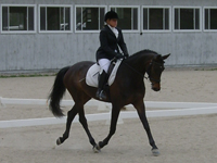 in the test