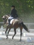 cantering
